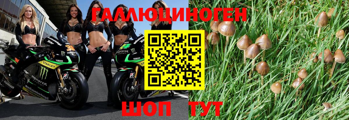 Галлюциногенные грибы Psilocybe  Вход с VPN  Салехард 